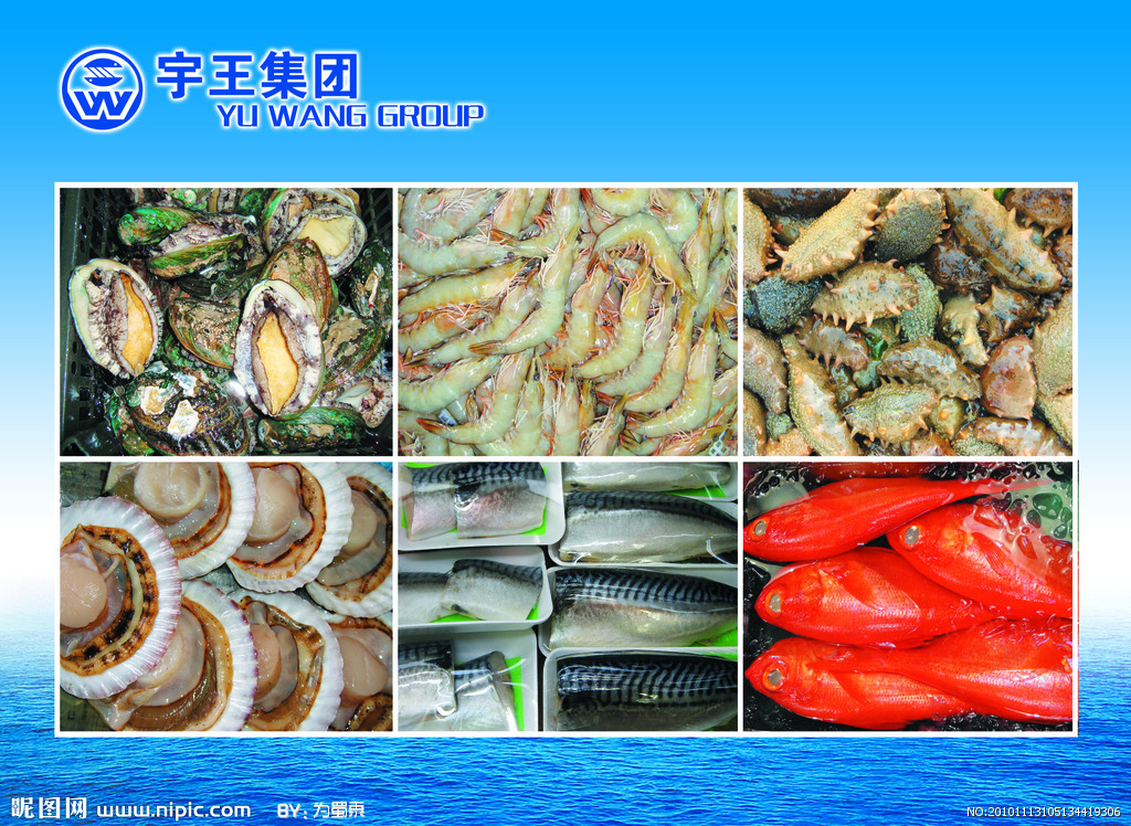 水產品源文件圖庫的藝術與設計應用