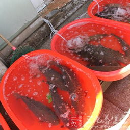 冬季常吃6種水產品，讓你輕松抗寒保暖