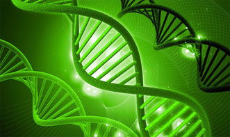 湘西州政協(xié)建言獻(xiàn)策，助力生物科技產(chǎn)業(yè)創(chuàng)新發(fā)展