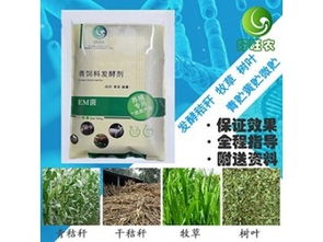 發(fā)酵秸稈青貯飼料的周期解析與專業(yè)供應(yīng)