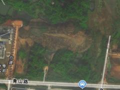 湘江西岸的青綠道場(chǎng) 長(zhǎng)沙岳麓雷鋒大道苗木租賃業(yè)的春天