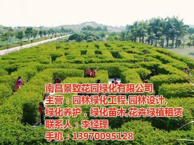 青山湖區(qū)園林綠化苗木租賃，一鍵解鎖“花園工廠”新美學(xué)